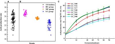 The plasmid-encoded lactose operon plays a vital role in the acid production rate of Lacticaseibacillus casei during milk beverage fermentation